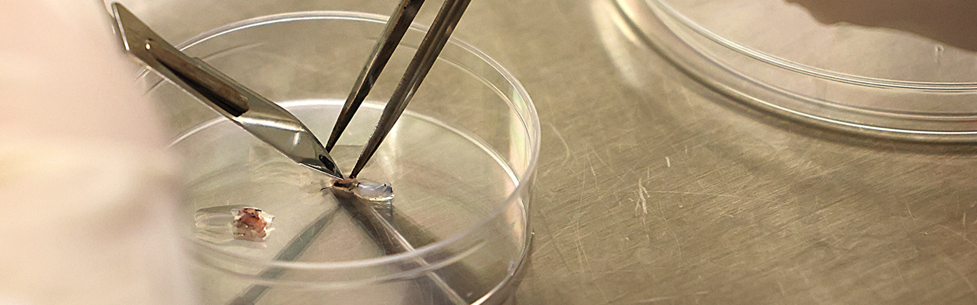 biobanking banner