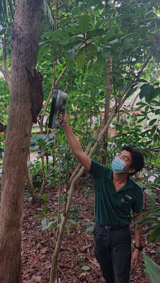 scanning colugo microchip