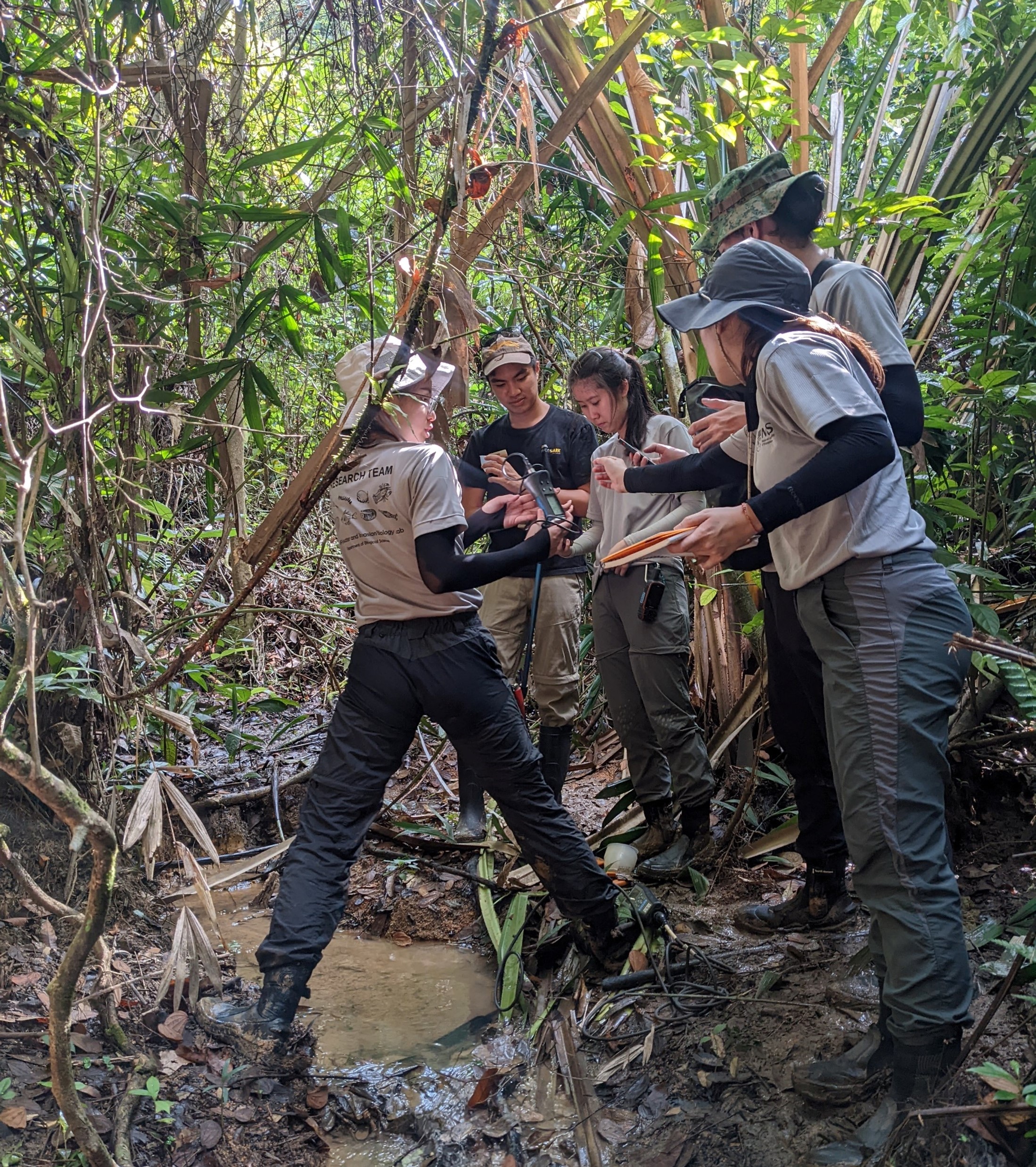 stream survey in Night Safari