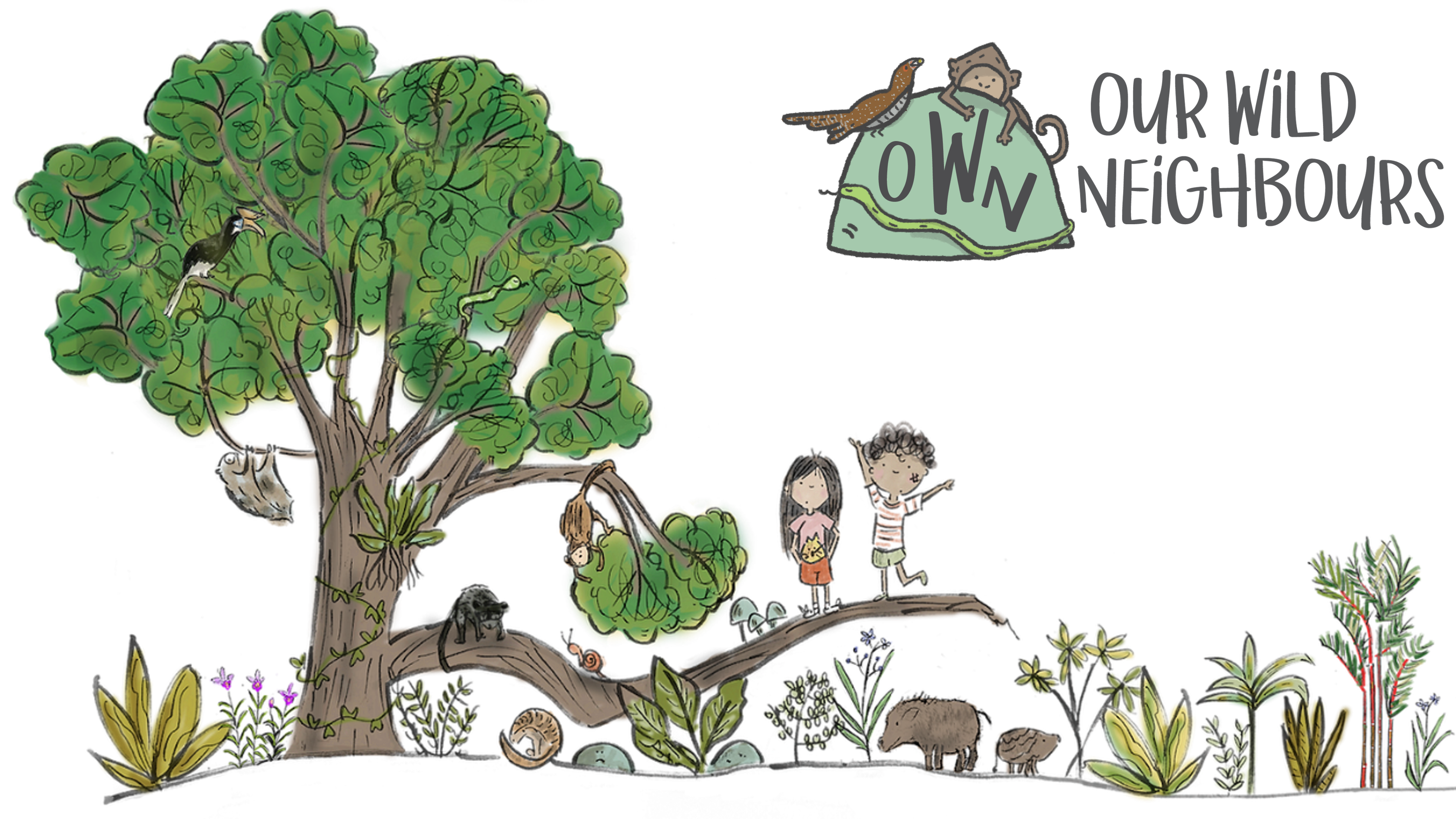 OWN campaign