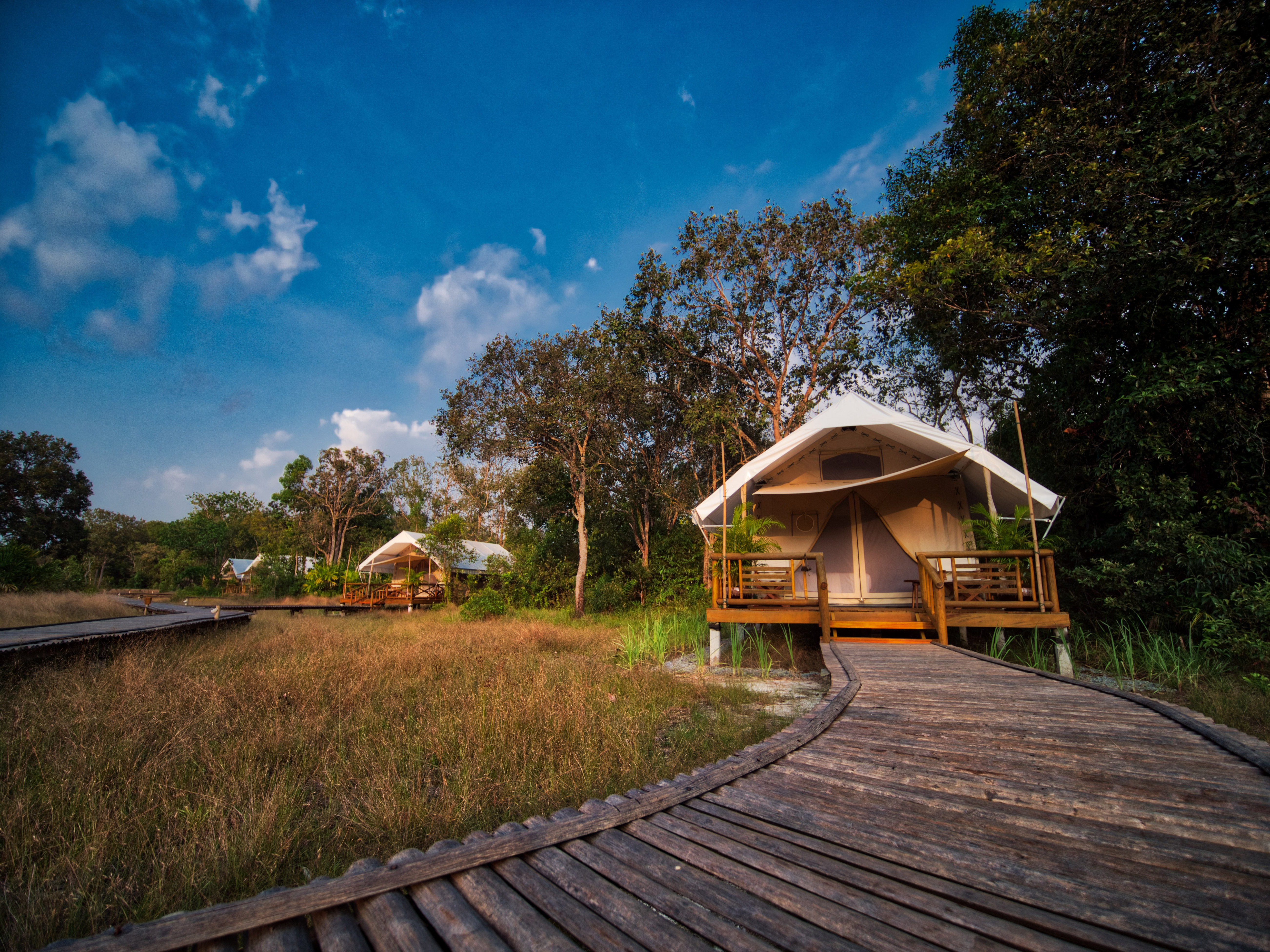 Cardamom Tented Camp