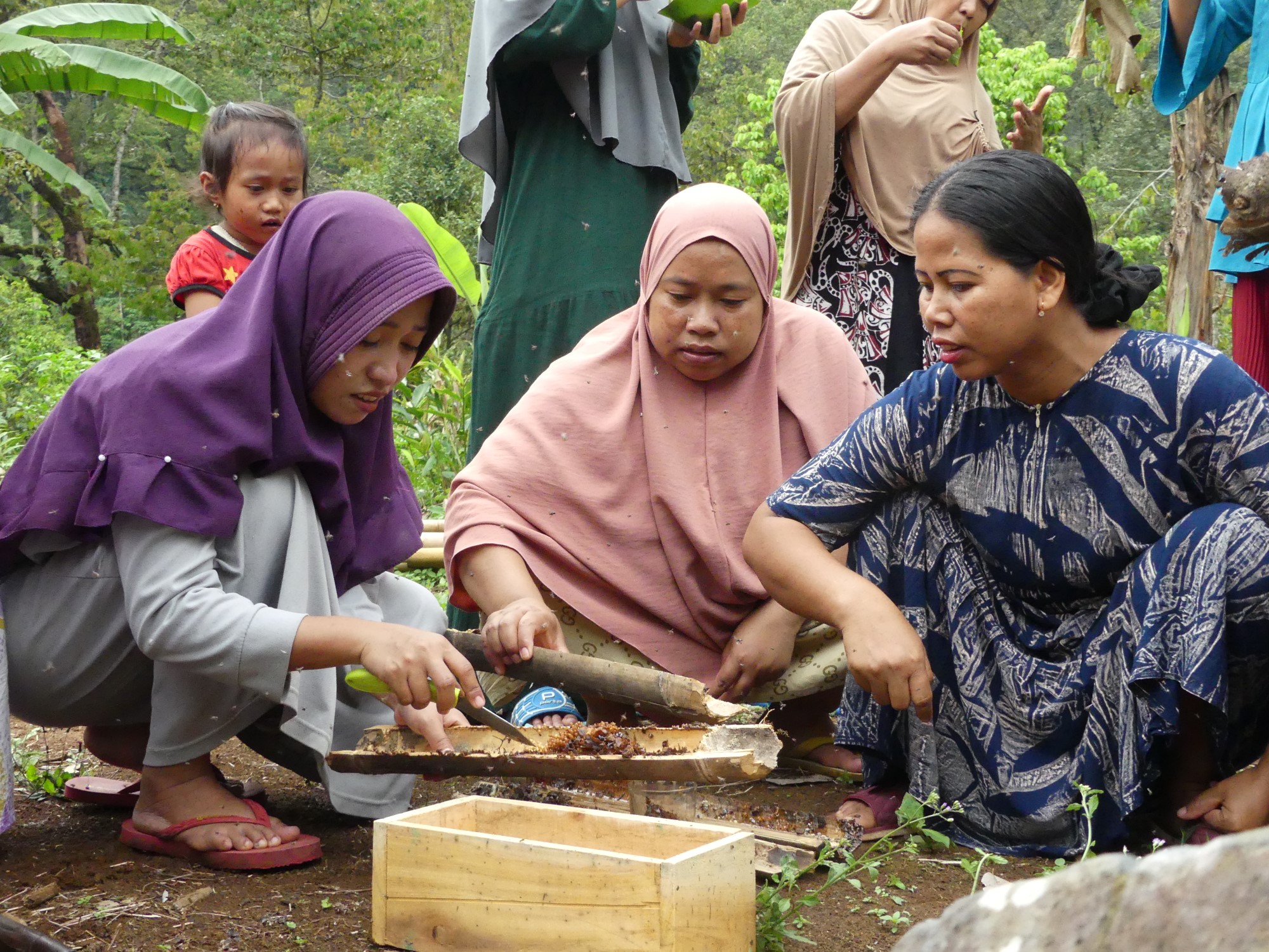beekeeping workshop