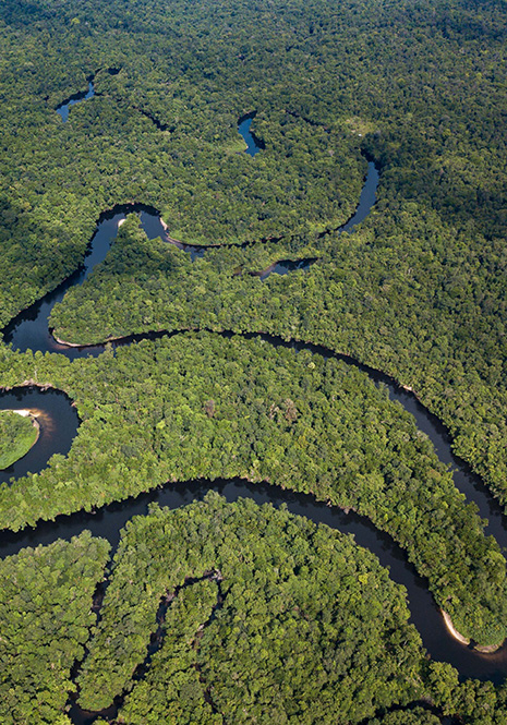 Protecting and Restoring Ecosystems