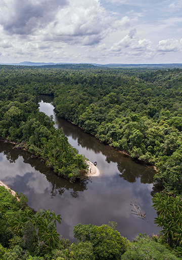 habitat
