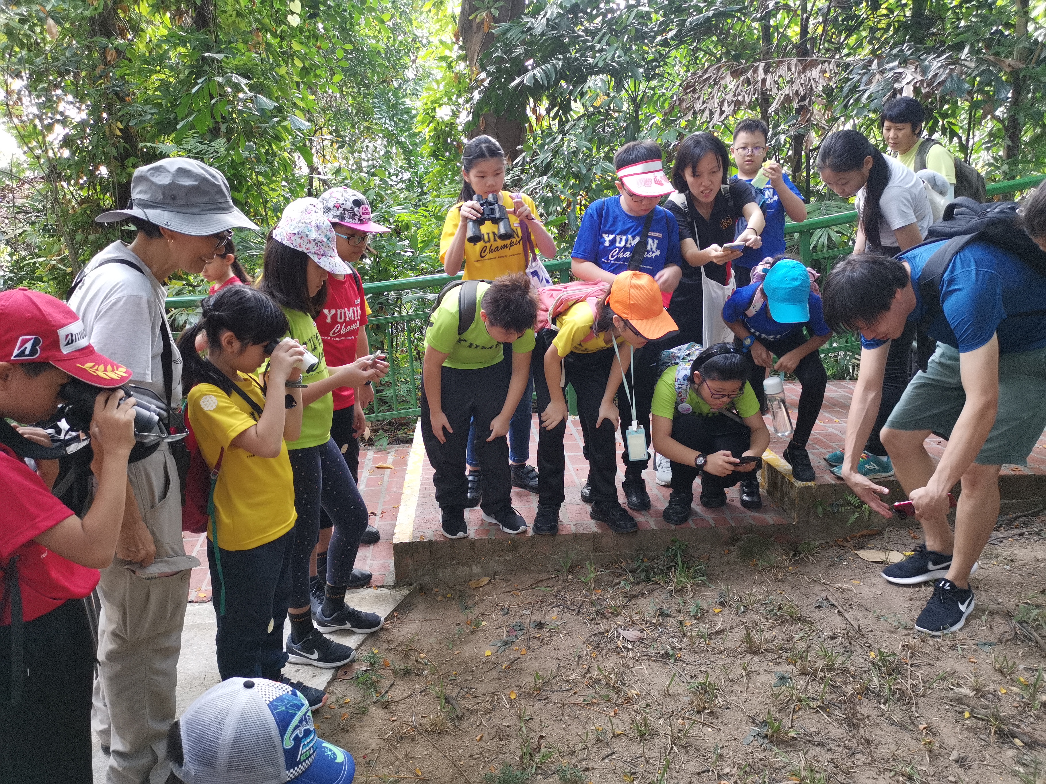 Every Singapore A Naturalist