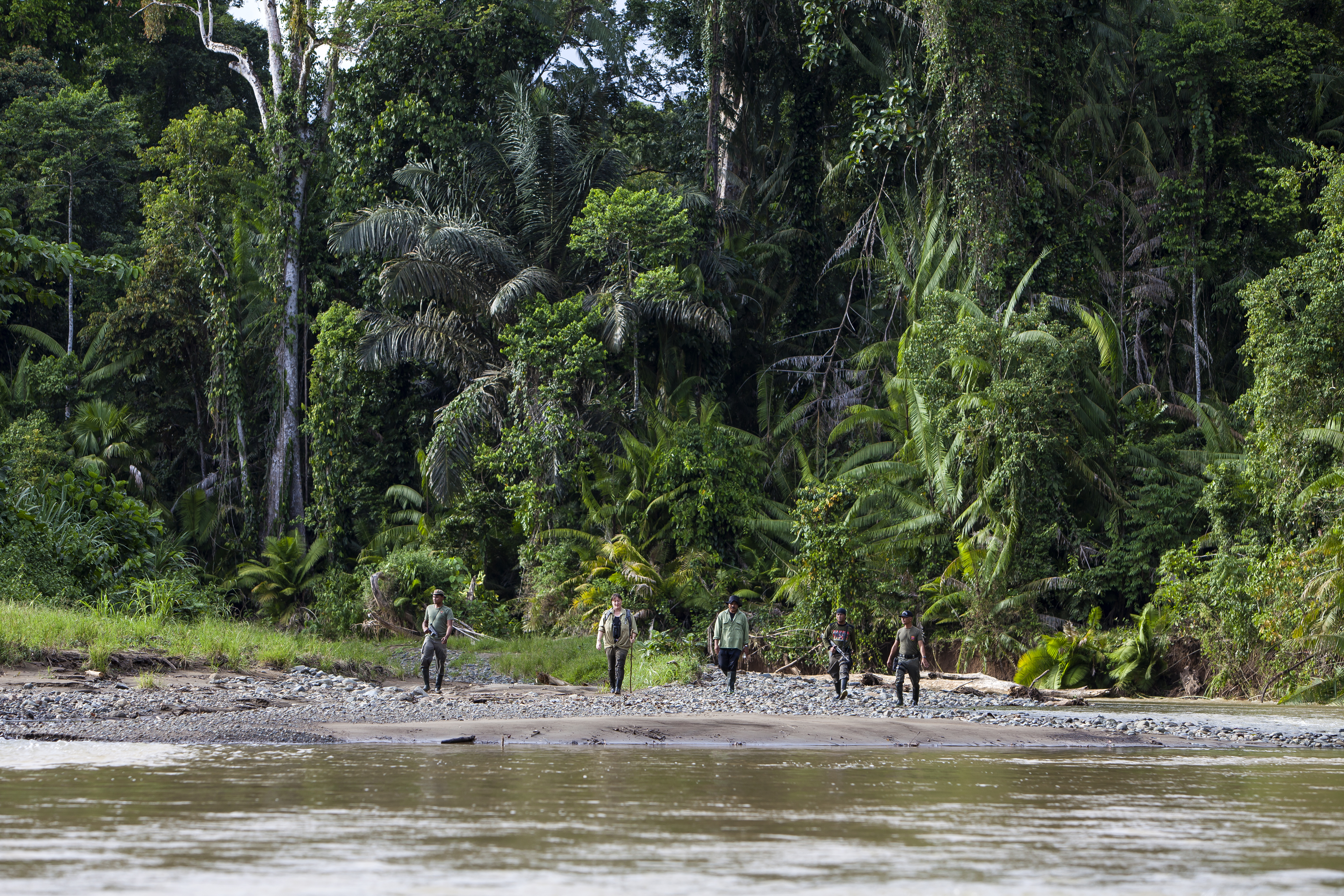 Nantu Rainforest