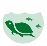 species